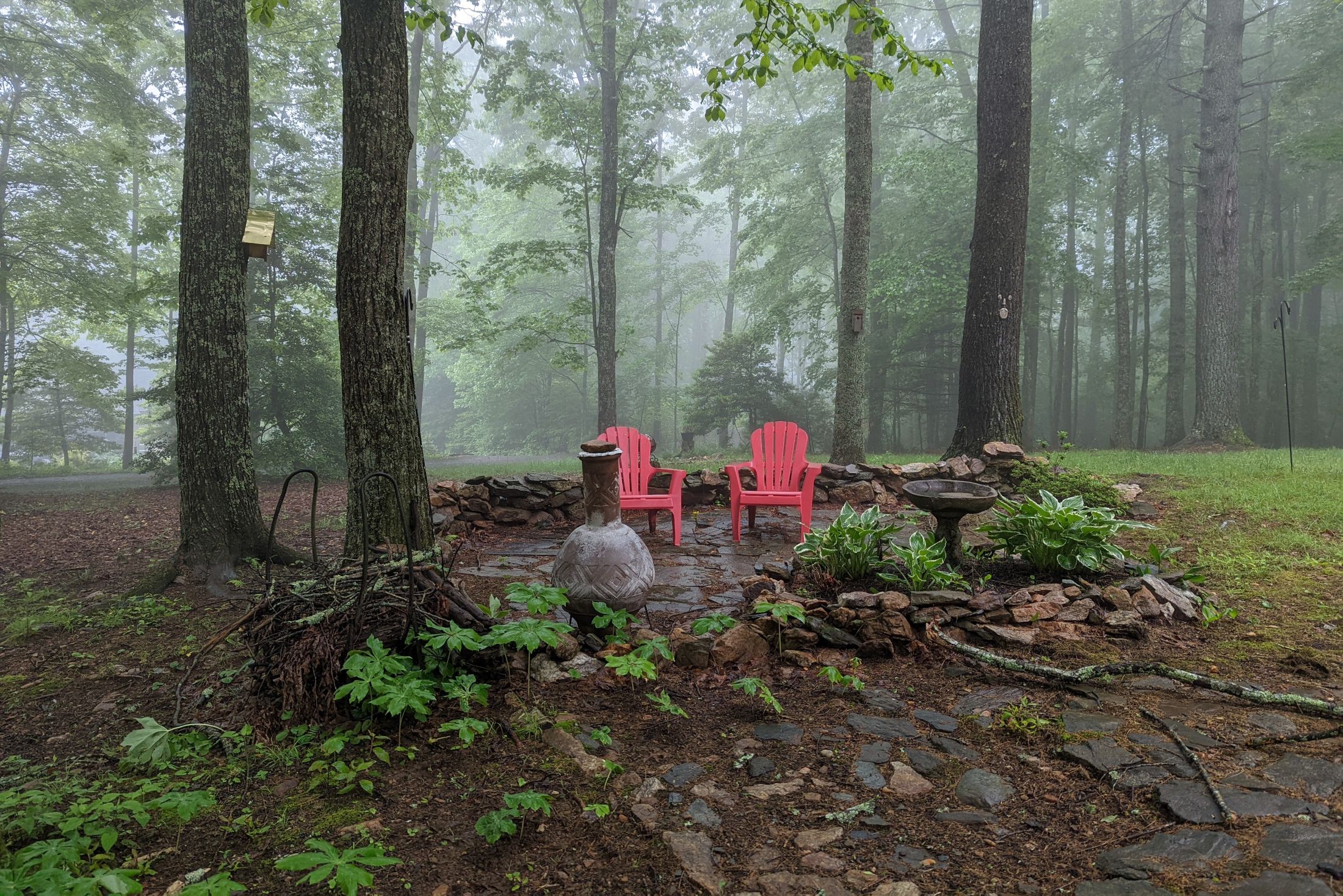 Two pink plastic chairs on a stone patio in a foggy forest.